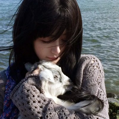 解放1:炮火弧线海报
